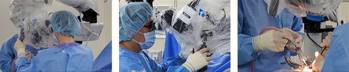 미세현미경 사진