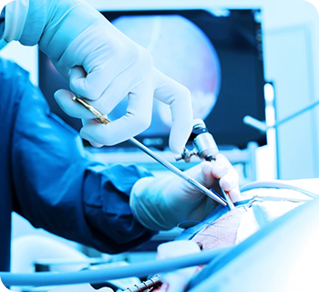 일반외과 특징 이미지 1